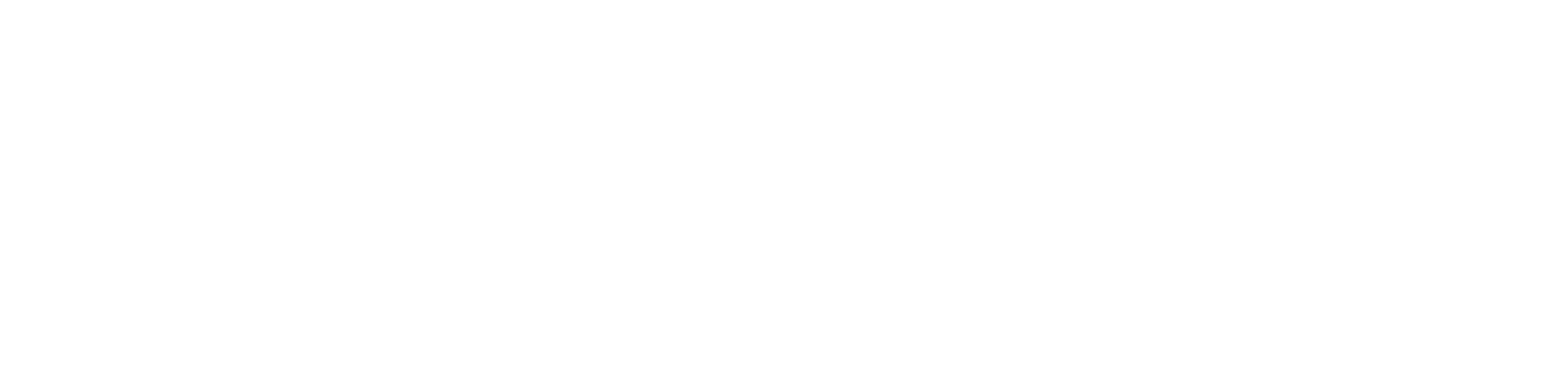 DOE logo white
